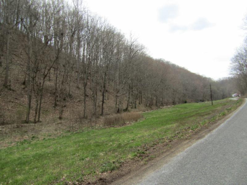 43.74-ac Arcot Road Celina, TN 38551 - Photo 23 of 35 KNOB CREEK & ARCOT RD MARTZ 049 - Copy -