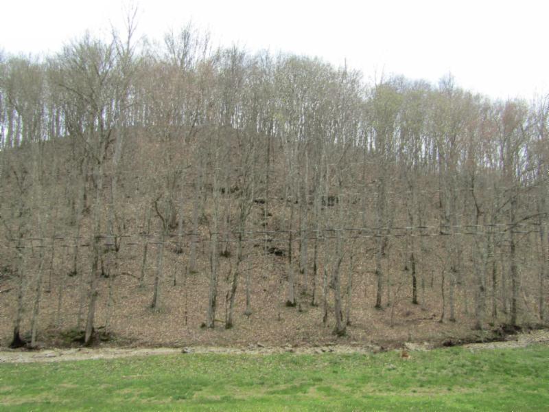 43.74-ac Arcot Road Celina, TN 38551 - Photo 24 of 35 KNOB CREEK & ARCOT RD MARTZ 050 - Copy