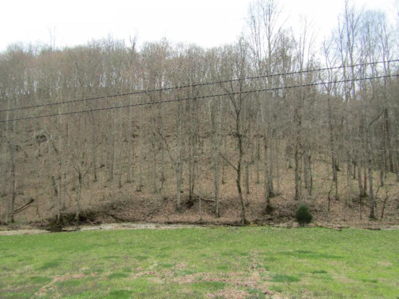 43.74-ac Arcot Road Celina, TN 38551 - Photo 25 of 35 KNOB CREEK & ARCOT RD MARTZ 053 - Copy -