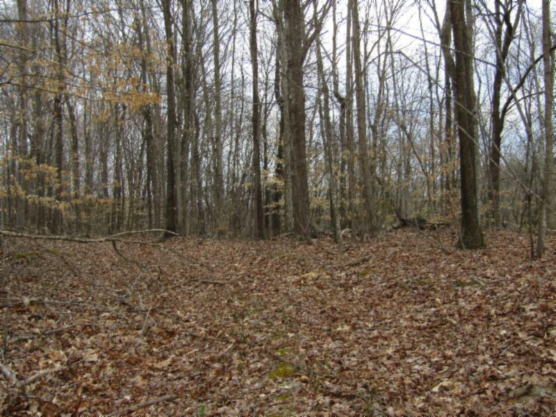 43.74-ac Arcot Road Celina, TN 38551 - Photo 27 of 35 KNOB CREEK & ARCOT RD MARTZ 061 - Copy
