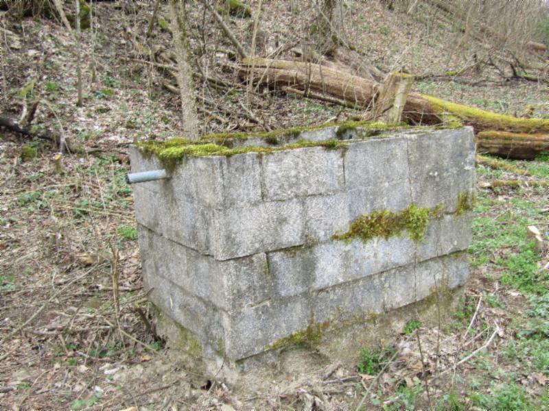43.74-ac Arcot Road Celina, TN 38551 - Photo 30 of 35 old spring well - Copy