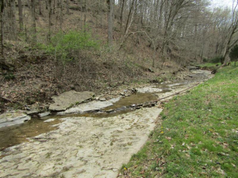 43.74-ac Arcot Road Celina, TN 38551 - Photo 4 of 35 KNOB CREEK & ARCOT RD MARTZ 004 - Copy -