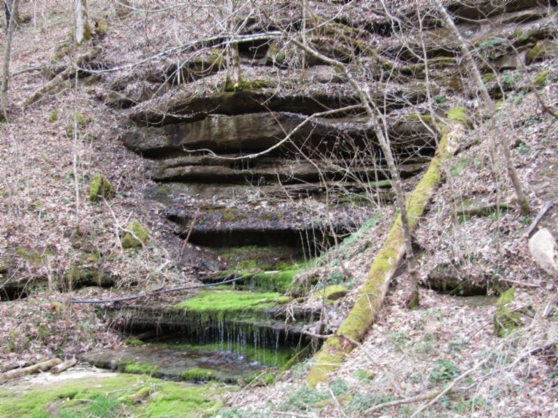 43.74-ac Arcot Road Celina, TN 38551 - Photo 31 of 35 sptring 1 - big one