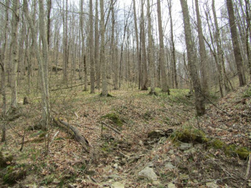 43.74-ac Arcot Road Celina, TN 38551 - Photo 5 of 35 KNOB CREEK & ARCOT RD MARTZ 009 - Copy -