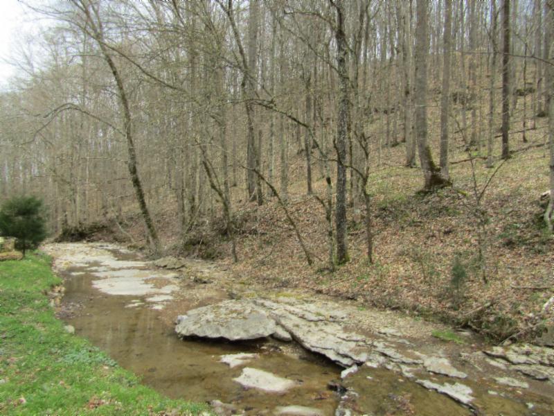 43.74-ac Arcot Road Celina, TN 38551 - Photo 6 of 35 KNOB CREEK & ARCOT RD MARTZ 012 - Copy -