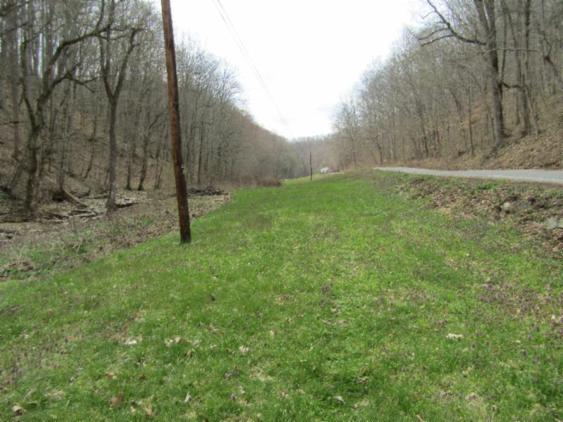 43.74-ac Arcot Road Celina, TN 38551 - Photo 7 of 35 KNOB CREEK & ARCOT RD MARTZ 013 - Copy -
