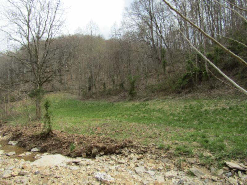 43.74-ac Arcot Road Celina, TN 38551 - Photo 8 of 35 KNOB CREEK & ARCOT RD MARTZ 014 - Copy -