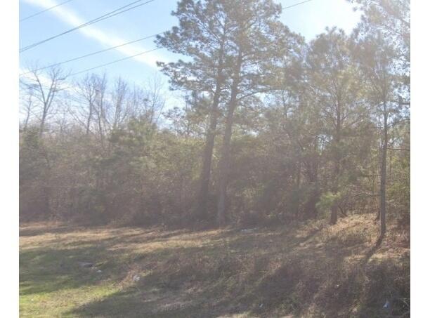 0 Moses Dingle Road Summerton, SC 29148 - Photo 1 of 1