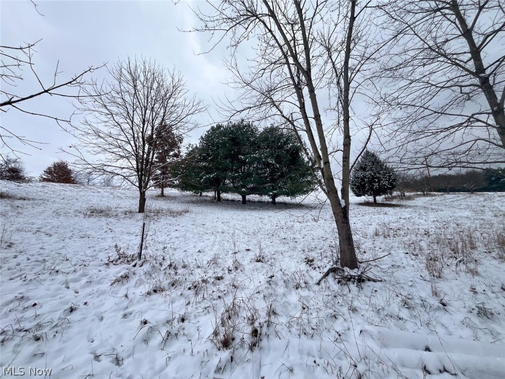 87085 Crall Road Scio, OH 43988 - Photo 19 of 30