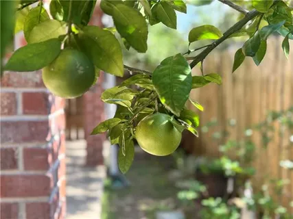 $270,000 | 818 Moss Street, Unit 101, New Orleans, LA 70119