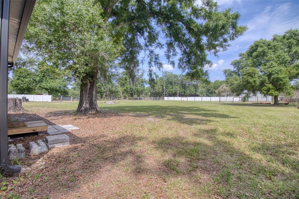 6804 Stafford Road Plant City, FL 33565 - Photo 21 of 24 a view of a field with an trees