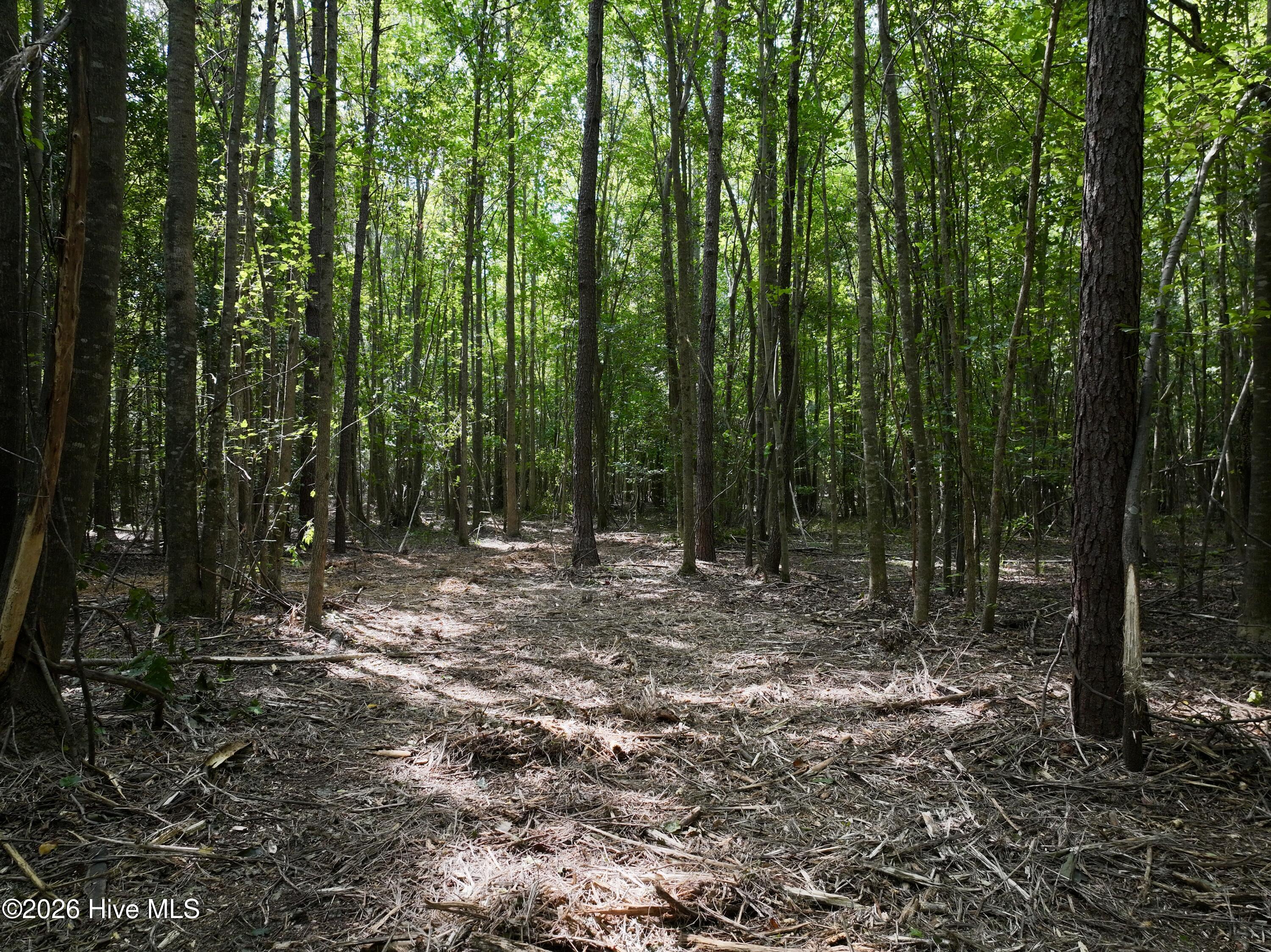 Lot 2 Mobley Road Lucama, NC 27851 - Photo 5 of 20 Gallery Image 5