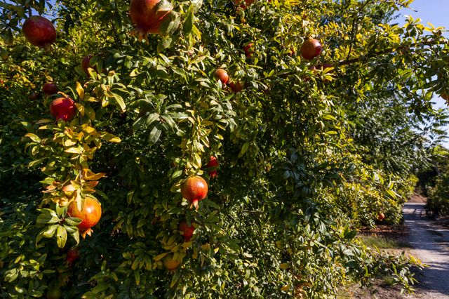 $2,200,000 | 1705 Sycamore Canyon Road, Santa Barbara, CA 93103