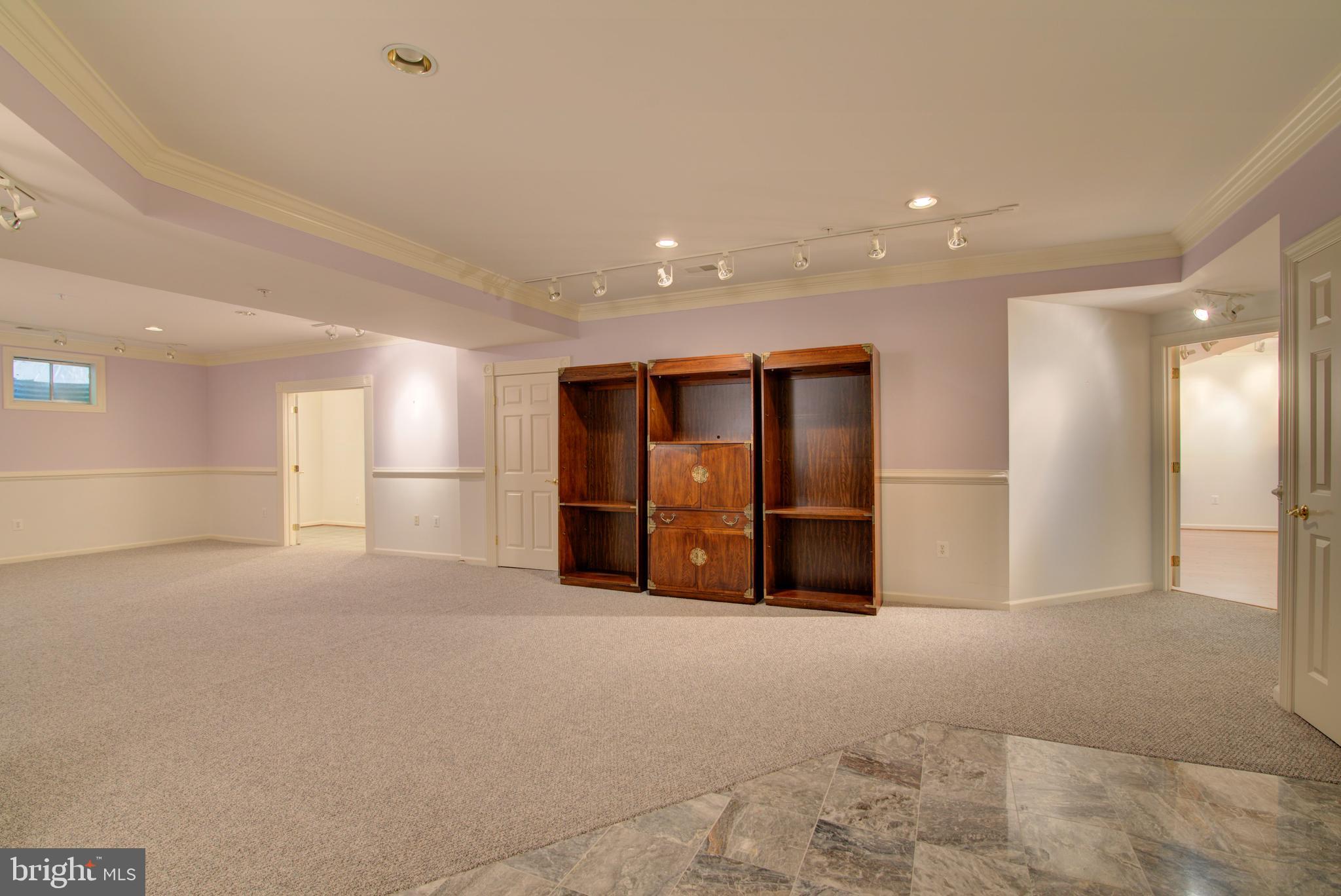 43462 Firestone Place Leesburg, VA 20176 - Photo 44 of 80 LOWER LEVEL REC ROOM