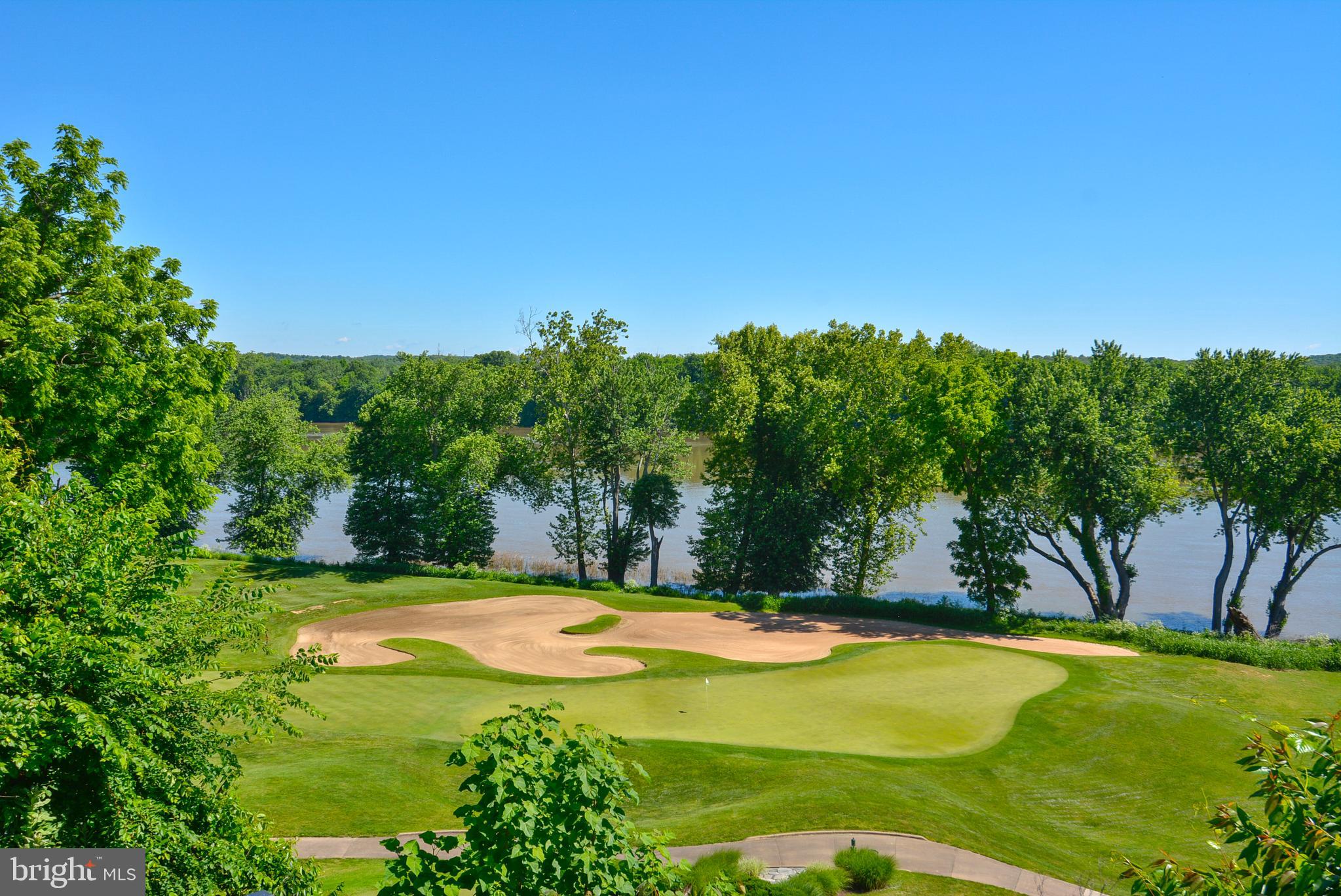 43462 Firestone Place Leesburg, VA 20176 - Photo 61 of 80 a swimming pool with trees in the background