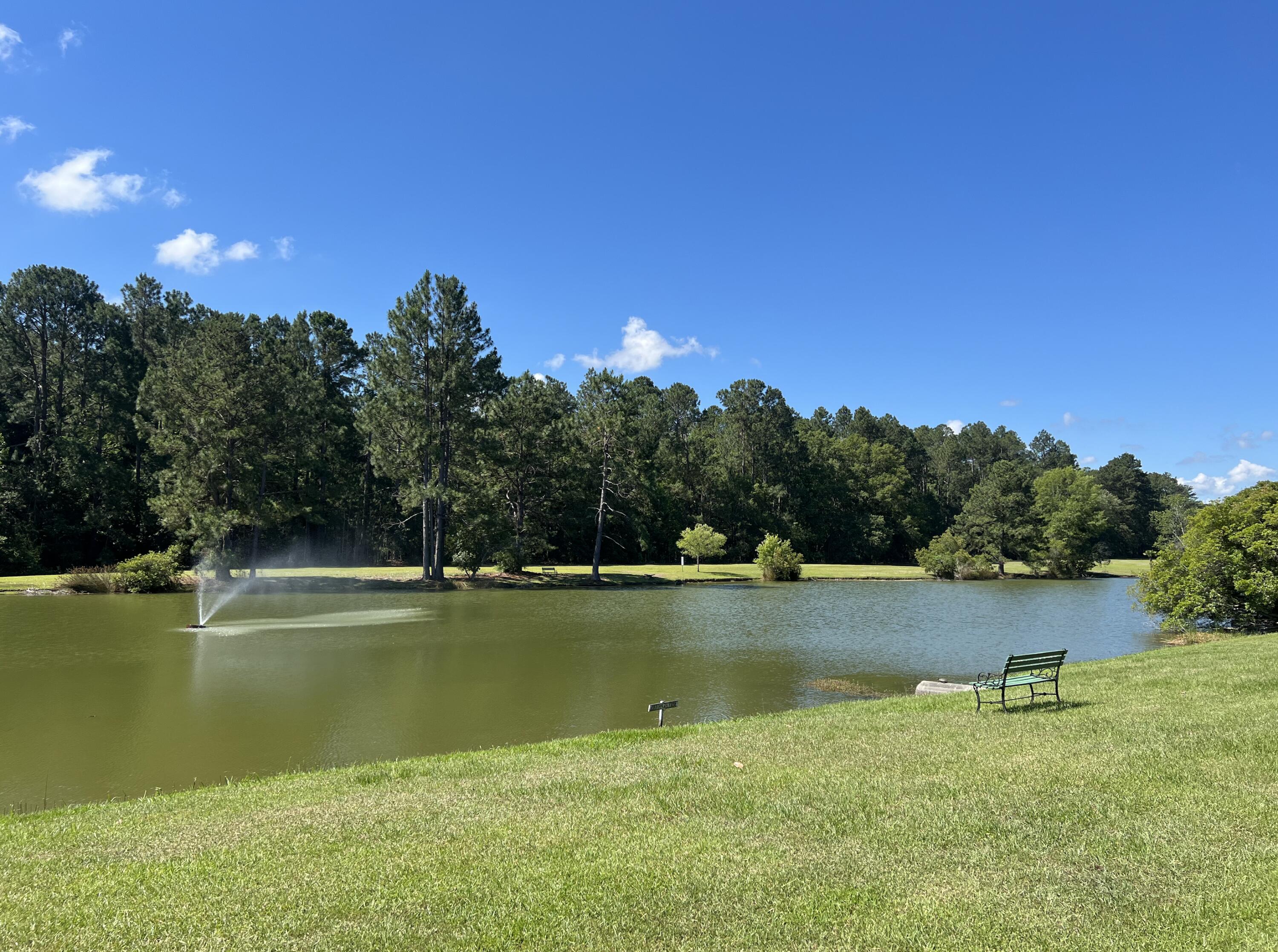 8 Andre Michaux Road Santee, SC 29142 - Photo 27 of 28 Screen Shot 2024-05-25 at 1.16.05 PM