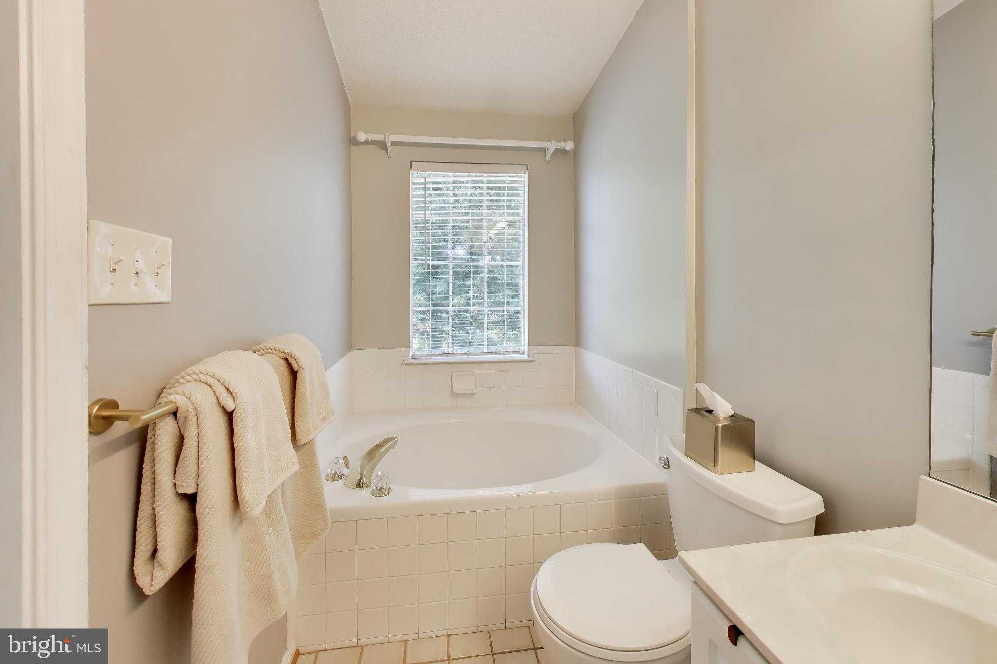 15108 Deer Valley Terrace Silver Spring, MD 20906 - Photo 19 of 48 Big soaking tub!