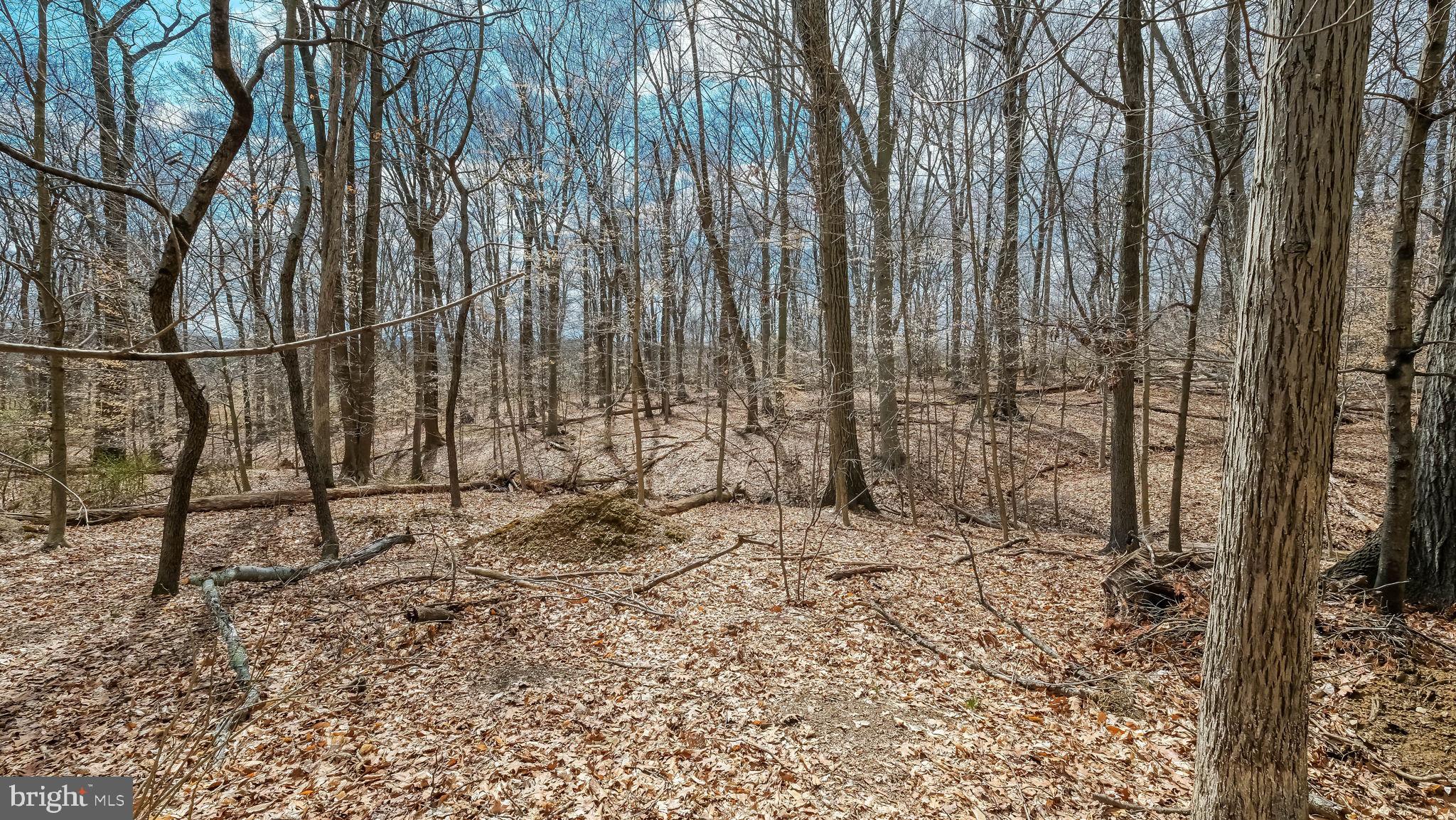 35 Declaration Drive Newtown, PA 18940 - Photo 44 of 53 a view of a backyard with iron fence