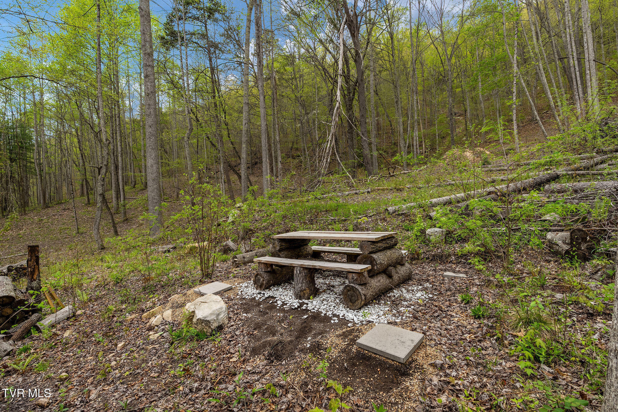 1485 Barrett Hollow Road Rogersville, TN 37857 - Photo 14 of 38 DSC03970