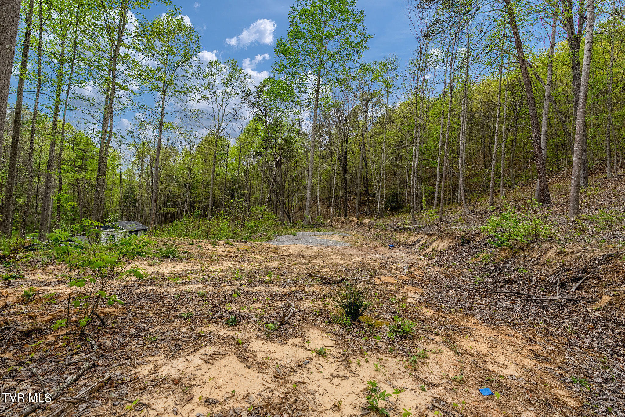 1485 Barrett Hollow Road Rogersville, TN 37857 - Photo 15 of 38 DSC03971