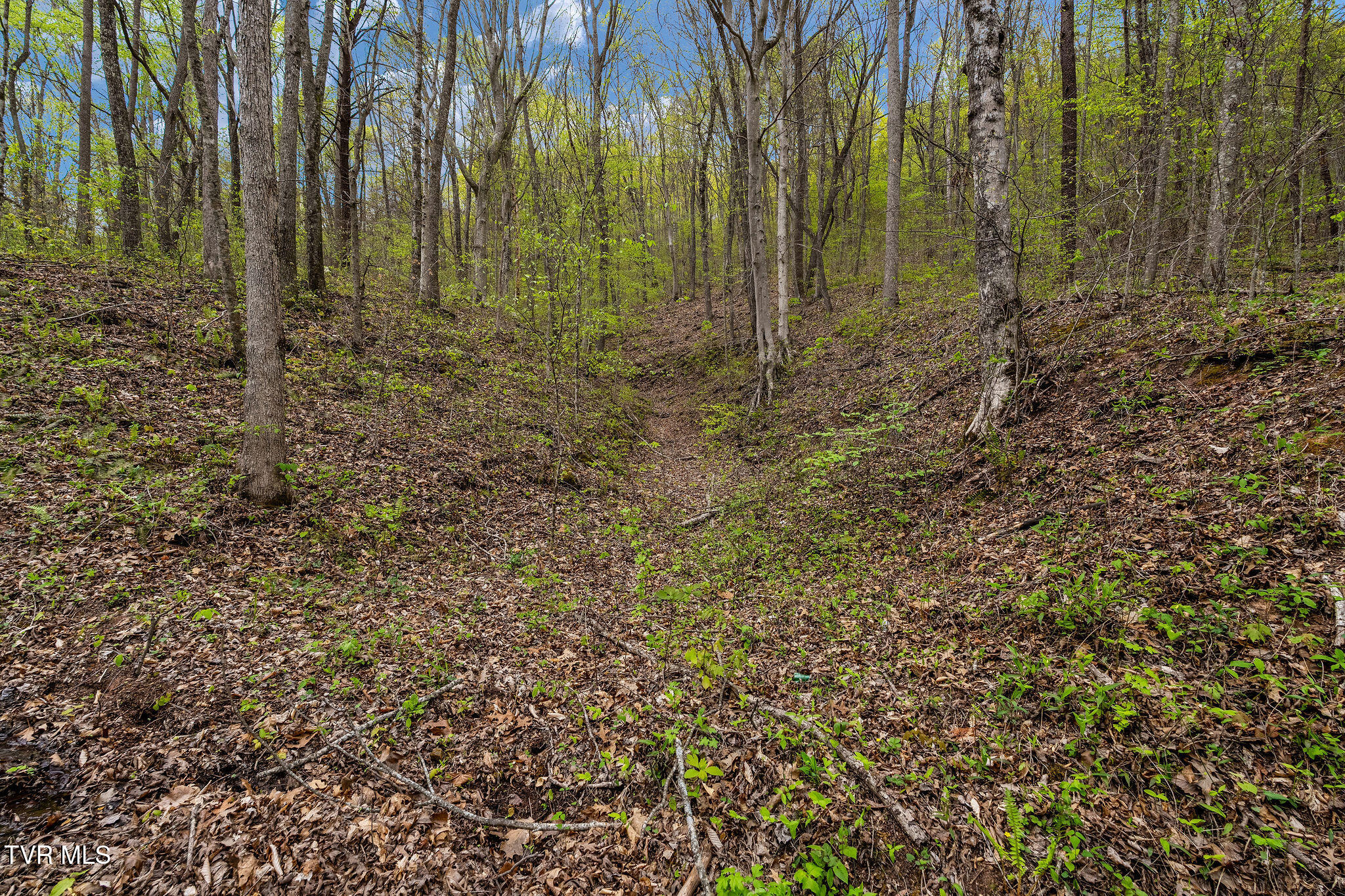 1485 Barrett Hollow Road Rogersville, TN 37857 - Photo 19 of 38 DSC03975