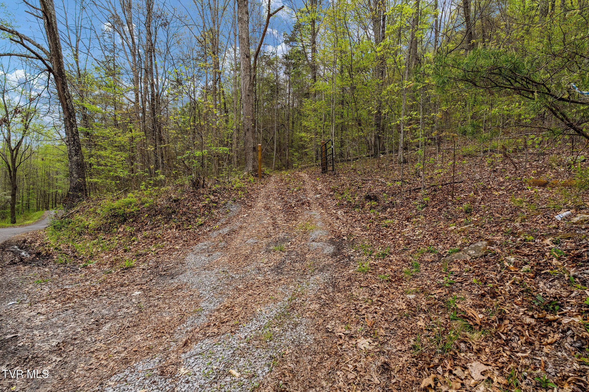 1485 Barrett Hollow Road Rogersville, TN 37857 - Photo 20 of 38 DSC03976