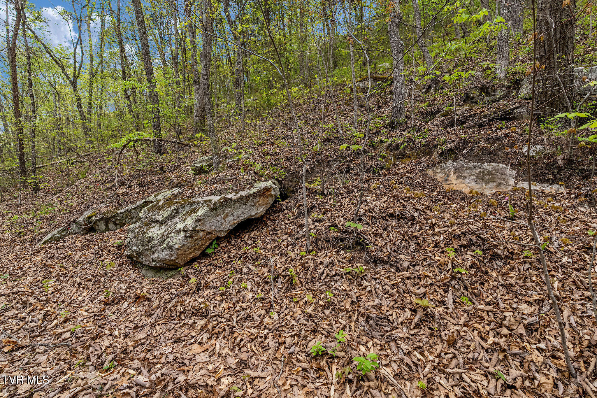 1485 Barrett Hollow Road Rogersville, TN 37857 - Photo 23 of 38 DSC03979
