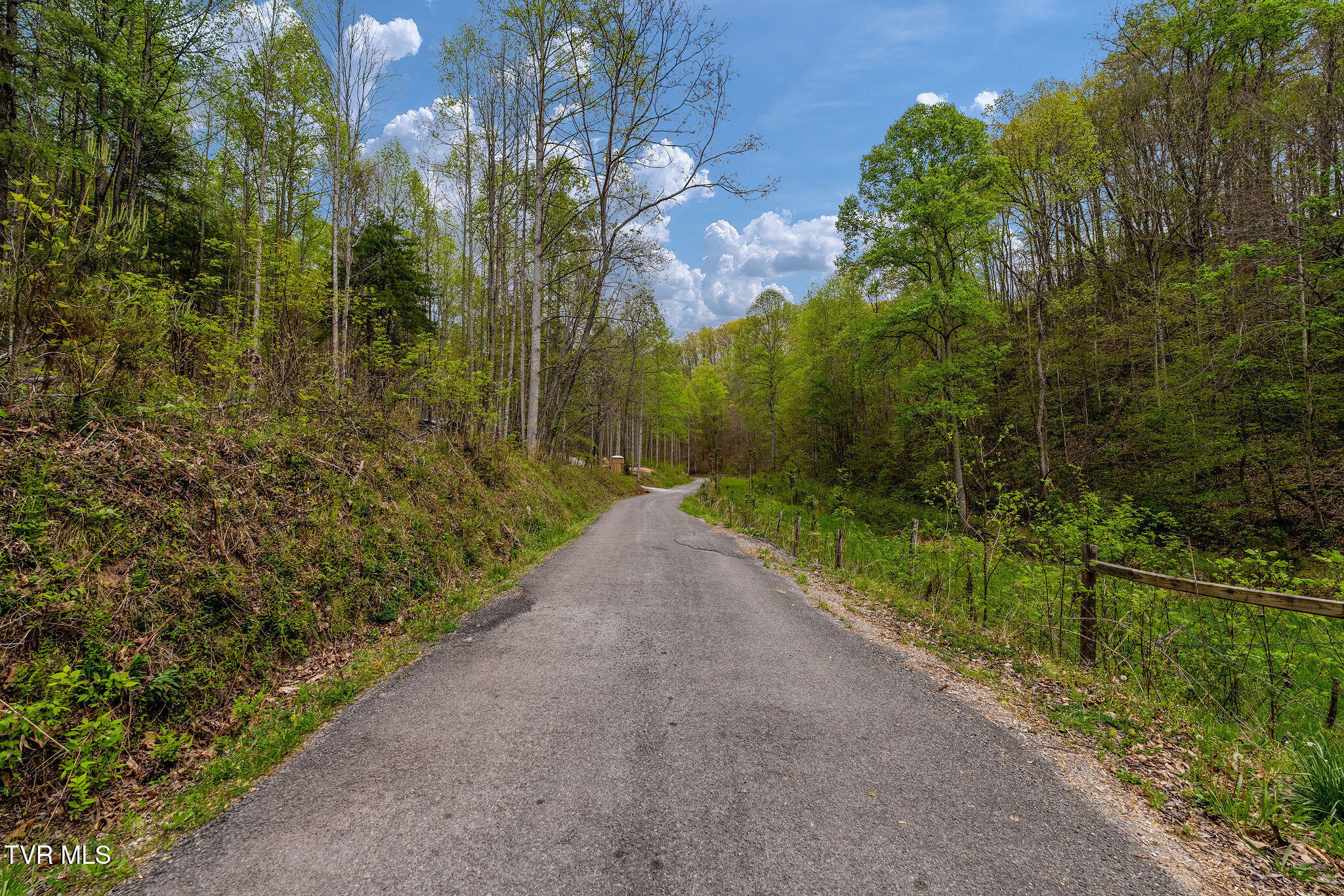 1485 Barrett Hollow Road Rogersville, TN 37857 - Photo 25 of 38 DSC03982
