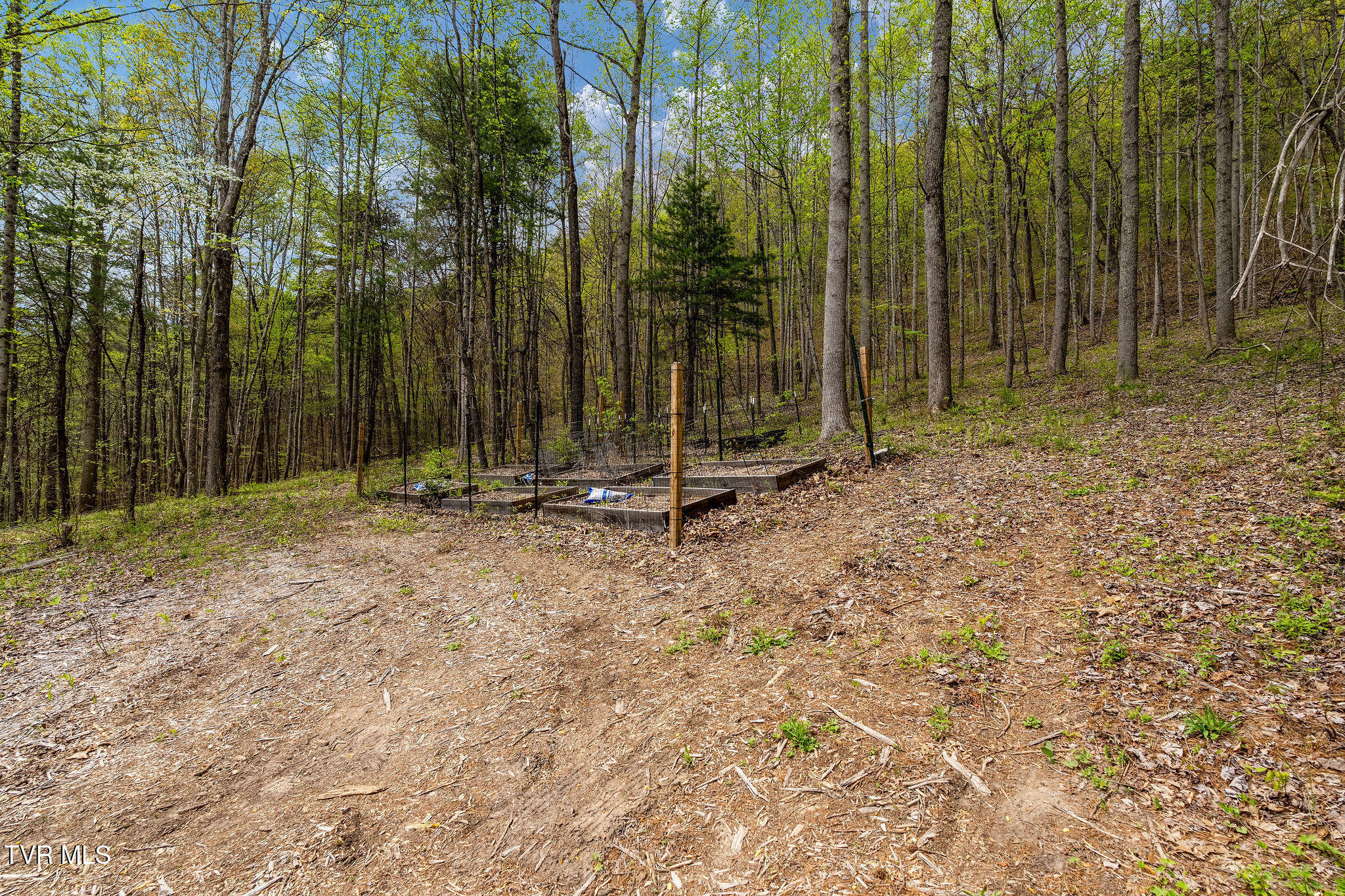 1485 Barrett Hollow Road Rogersville, TN 37857 - Photo 26 of 38 DSC03983