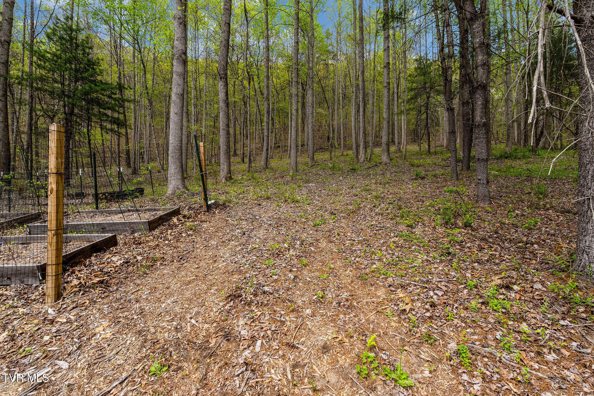 1485 Barrett Hollow Road Rogersville, TN 37857 - Photo 27 of 38 DSC03984