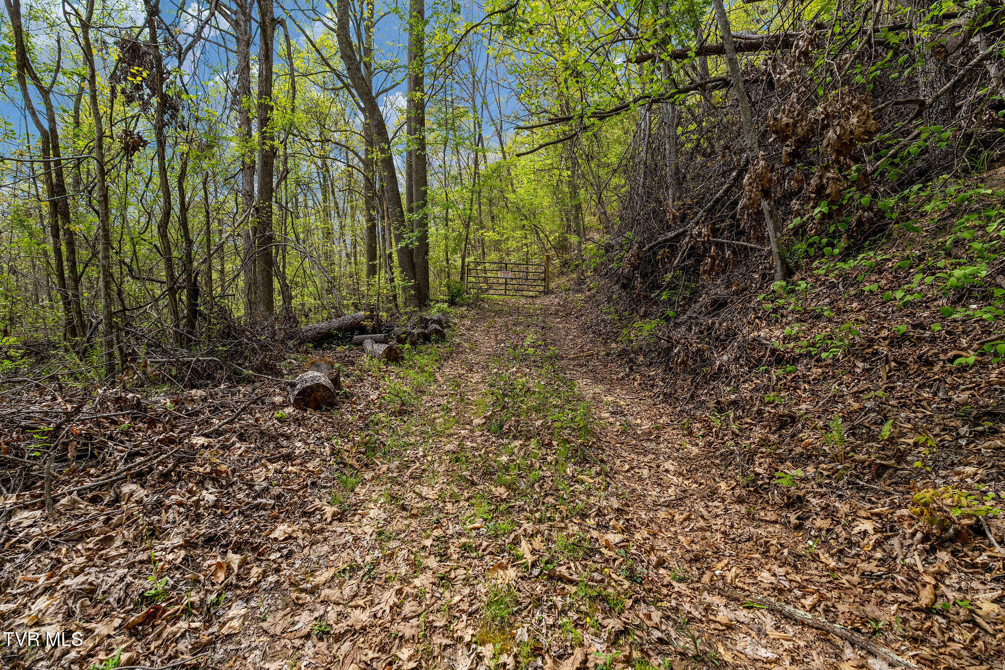 1485 Barrett Hollow Road Rogersville, TN 37857 - Photo 29 of 38 DSC03986