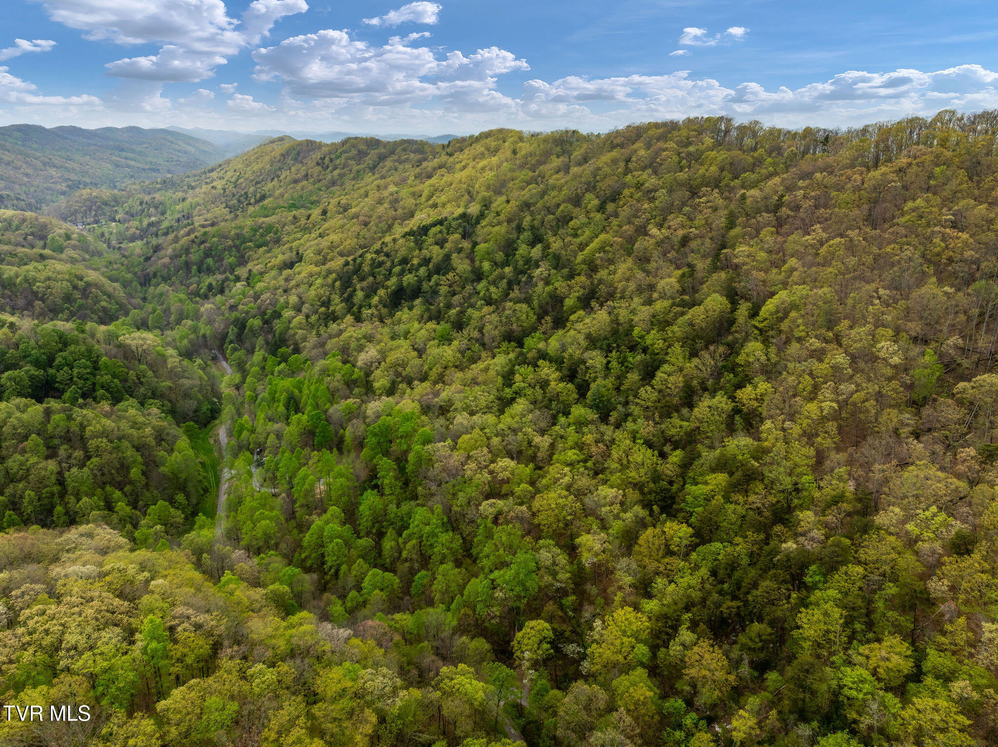 1485 Barrett Hollow Road Rogersville, TN 37857 - Photo 31 of 38 DJI_0869