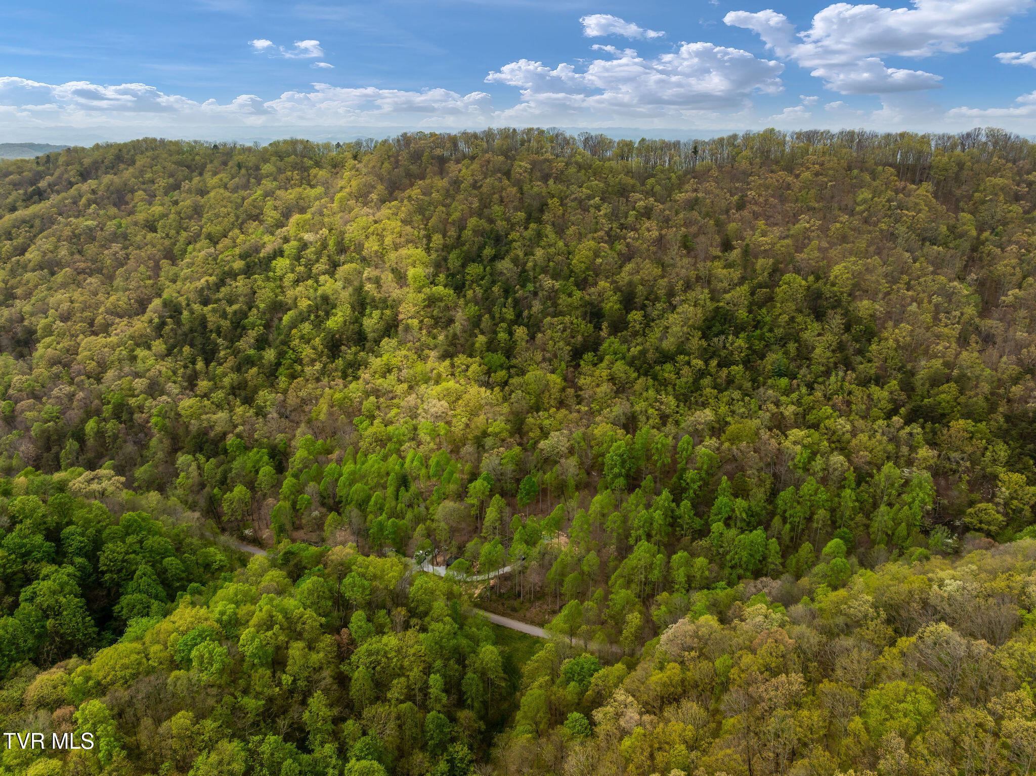 1485 Barrett Hollow Road Rogersville, TN 37857 - Photo 32 of 38 DJI_0874