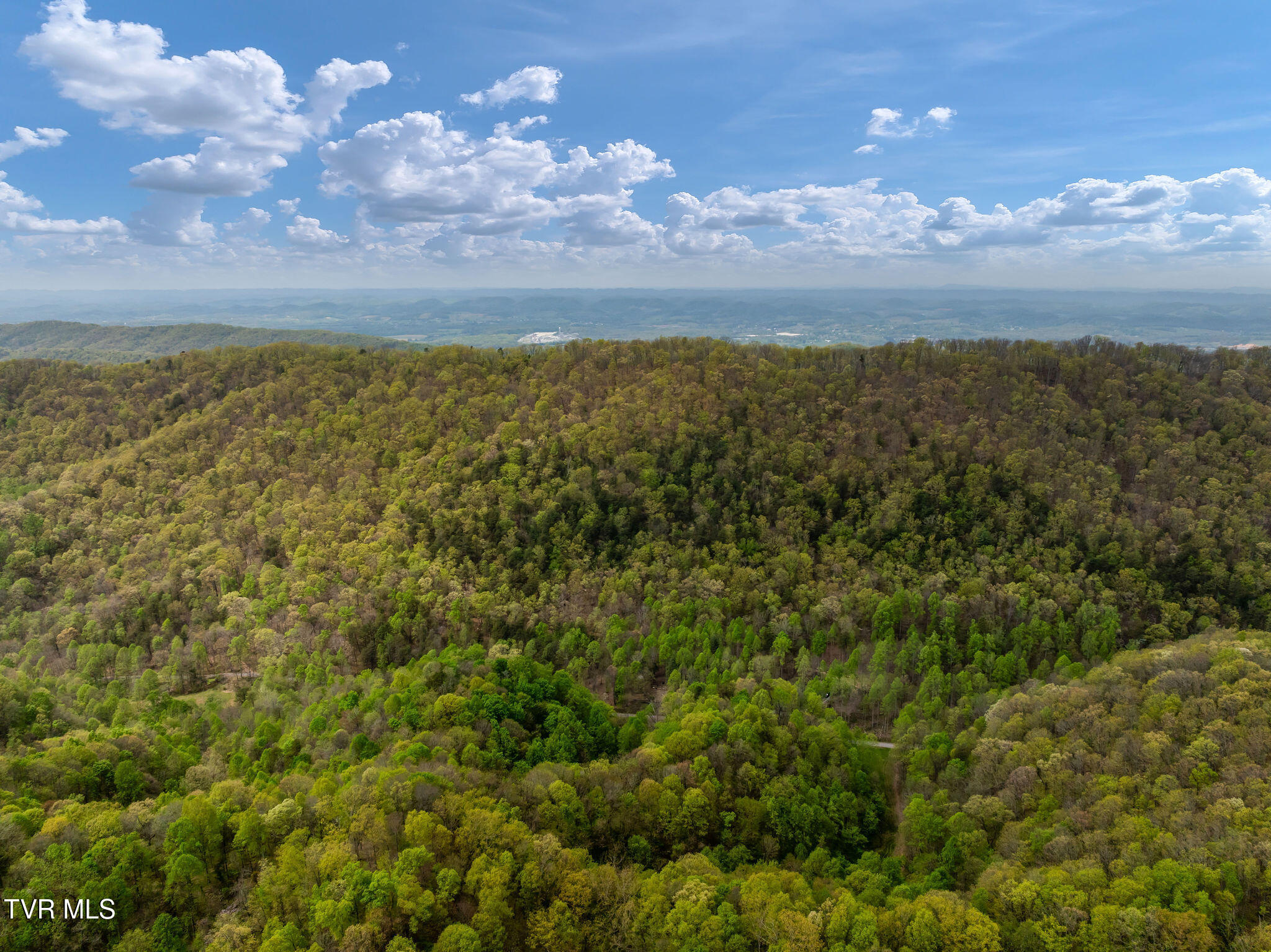 1485 Barrett Hollow Road Rogersville, TN 37857 - Photo 33 of 38 DJI_0879-Copy