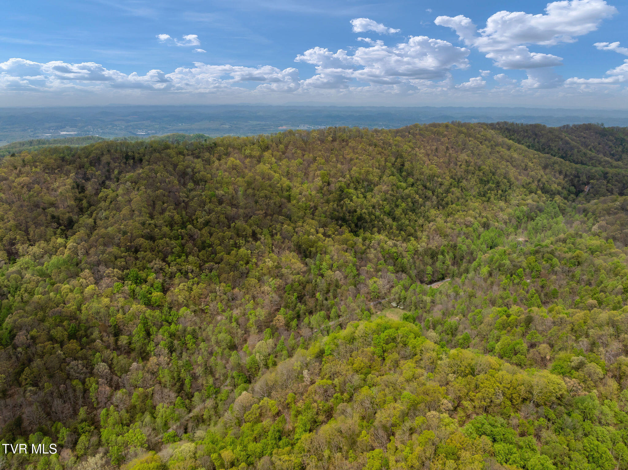1485 Barrett Hollow Road Rogersville, TN 37857 - Photo 34 of 38 DJI_0884-Copy