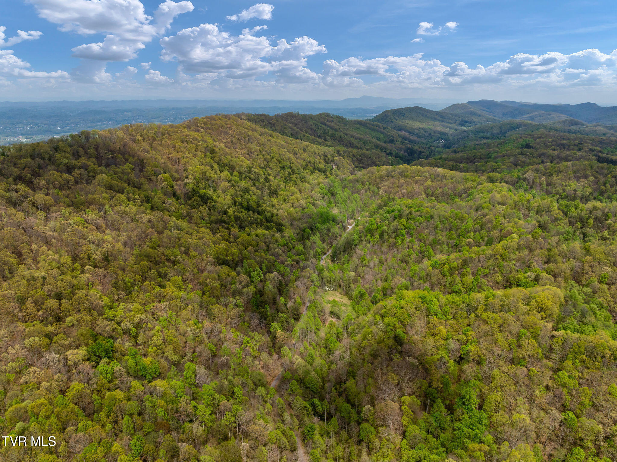 1485 Barrett Hollow Road Rogersville, TN 37857 - Photo 35 of 38 DJI_0889