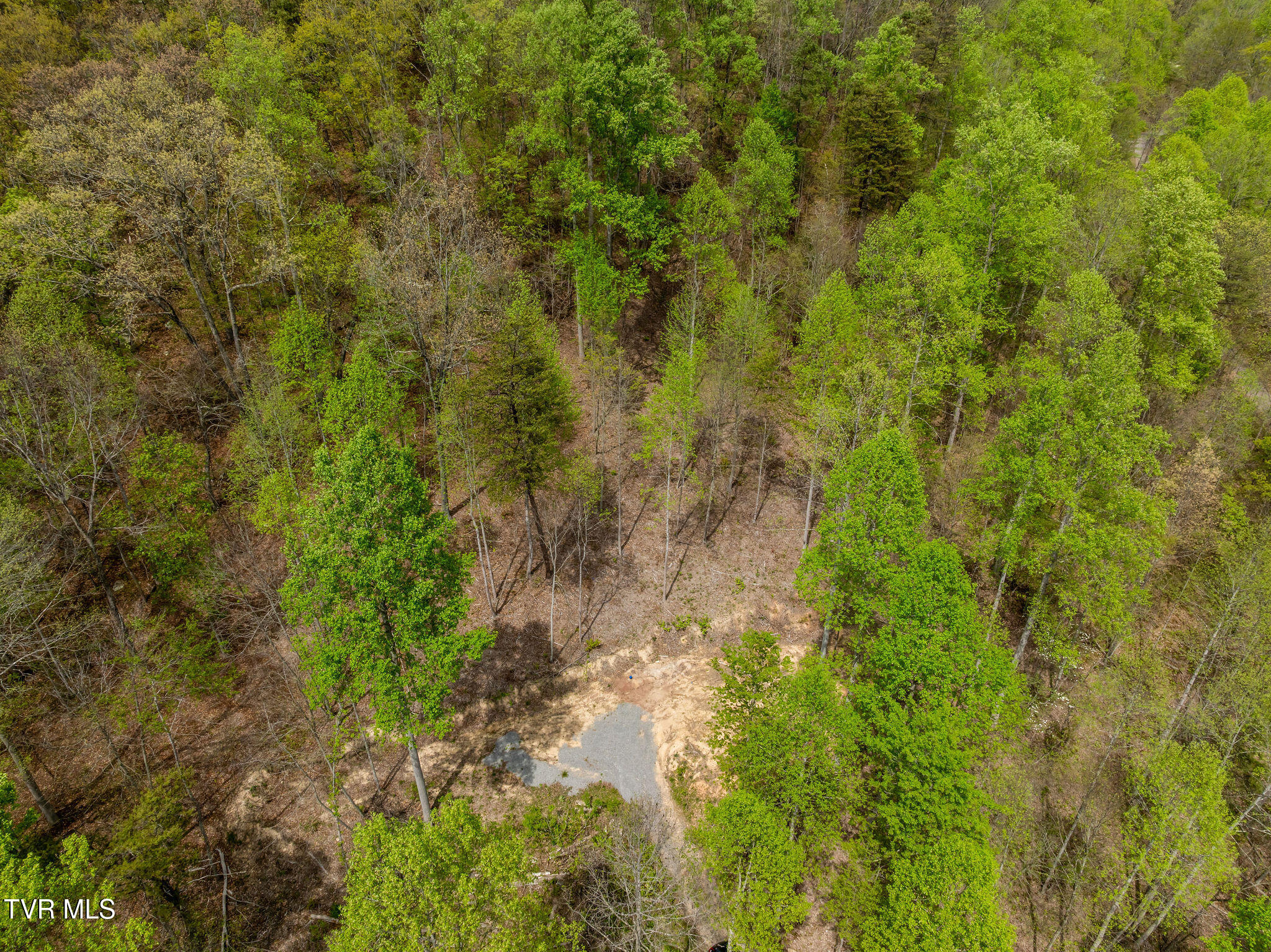 1485 Barrett Hollow Road Rogersville, TN 37857 - Photo 37 of 38 DJI_0899