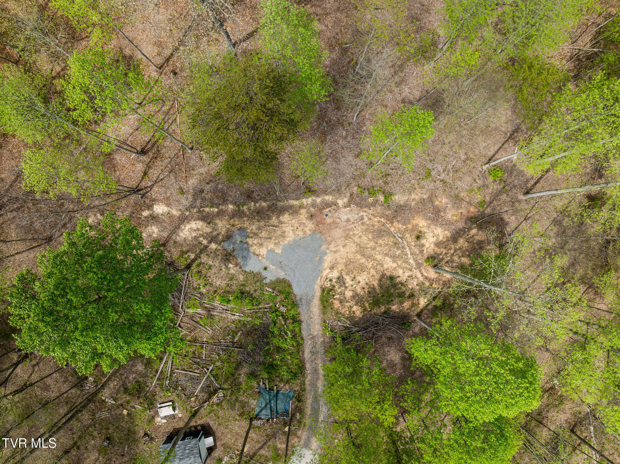 1485 Barrett Hollow Road Rogersville, TN 37857 - Photo 38 of 38 DJI_0904