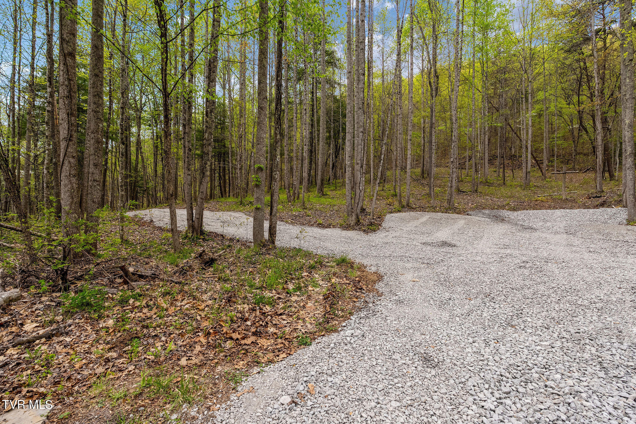1485 Barrett Hollow Road Rogersville, TN 37857 - Photo 4 of 38 DSC03991