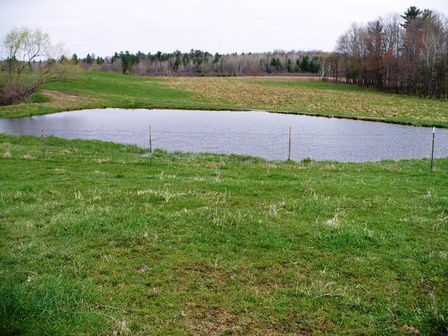 W7426 County Rd G Greenwood, WI 54437 - Photo 17 of 26