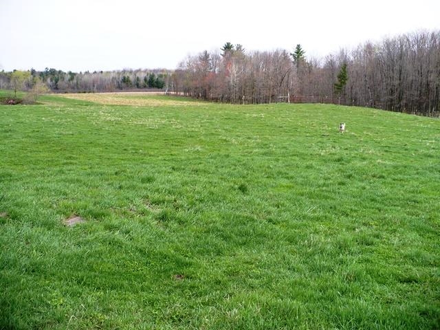 W7426 County Rd G Greenwood, WI 54437 - Photo 18 of 26