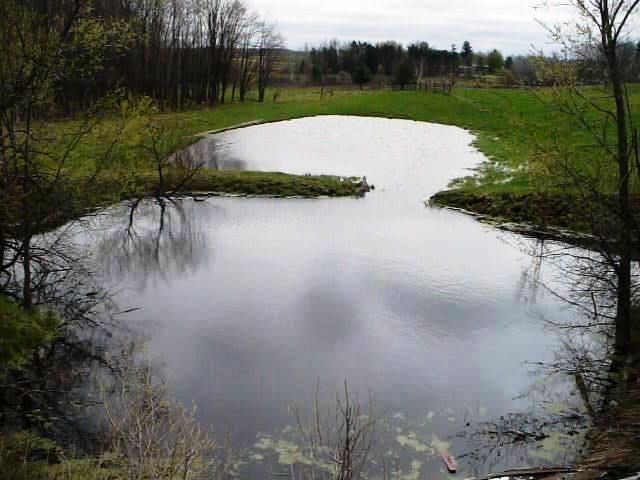 W7426 County Rd G Greenwood, WI 54437 - Photo 19 of 26