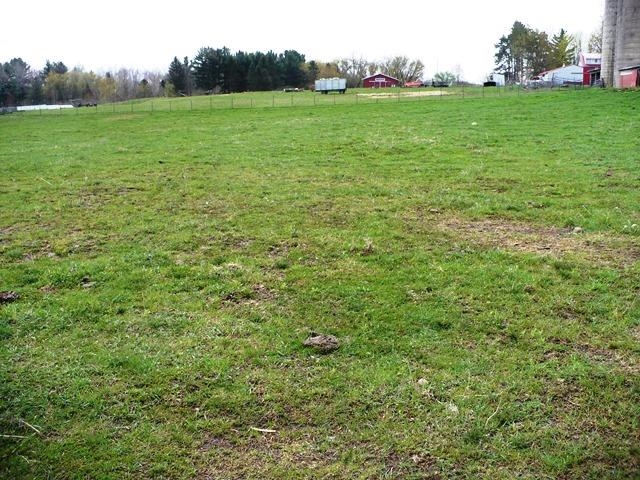 W7426 County Rd G Greenwood, WI 54437 - Photo 24 of 26