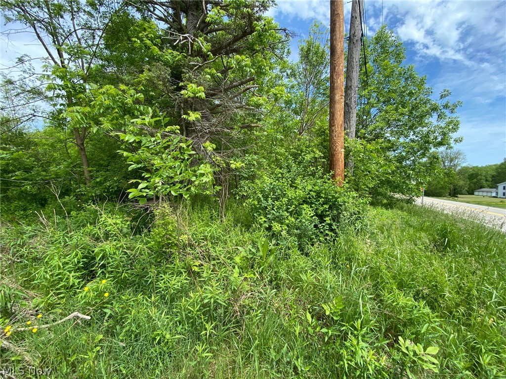 5323 North River Road West Geneva, OH 44041 - Photo 4 of 5