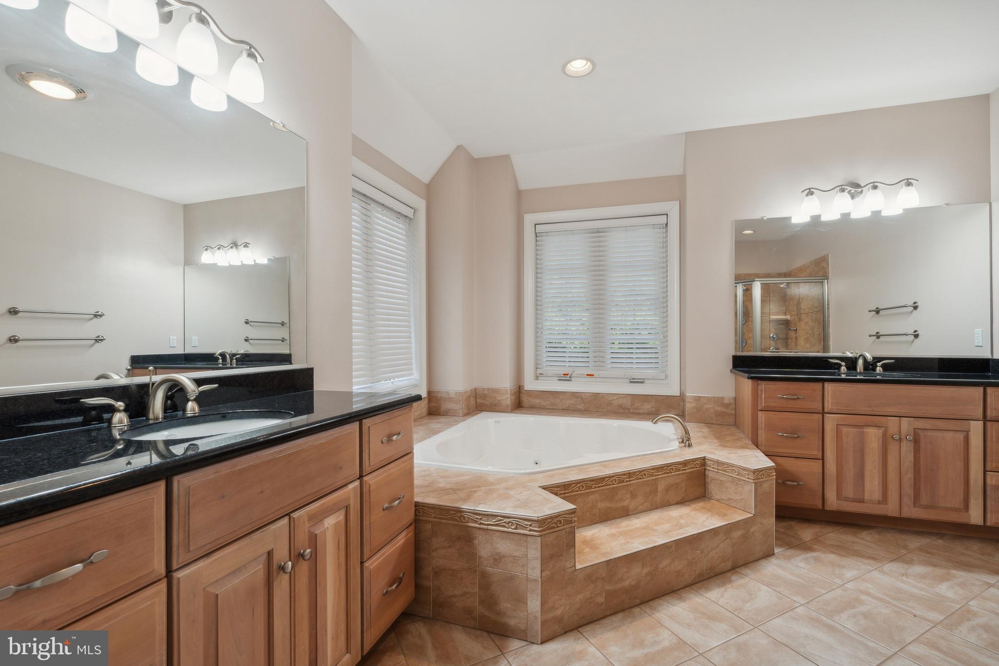 3436 Basford Road Frederick, MD 21703 - Photo 9 of 39 Primary Bathroom/ Jet Tub