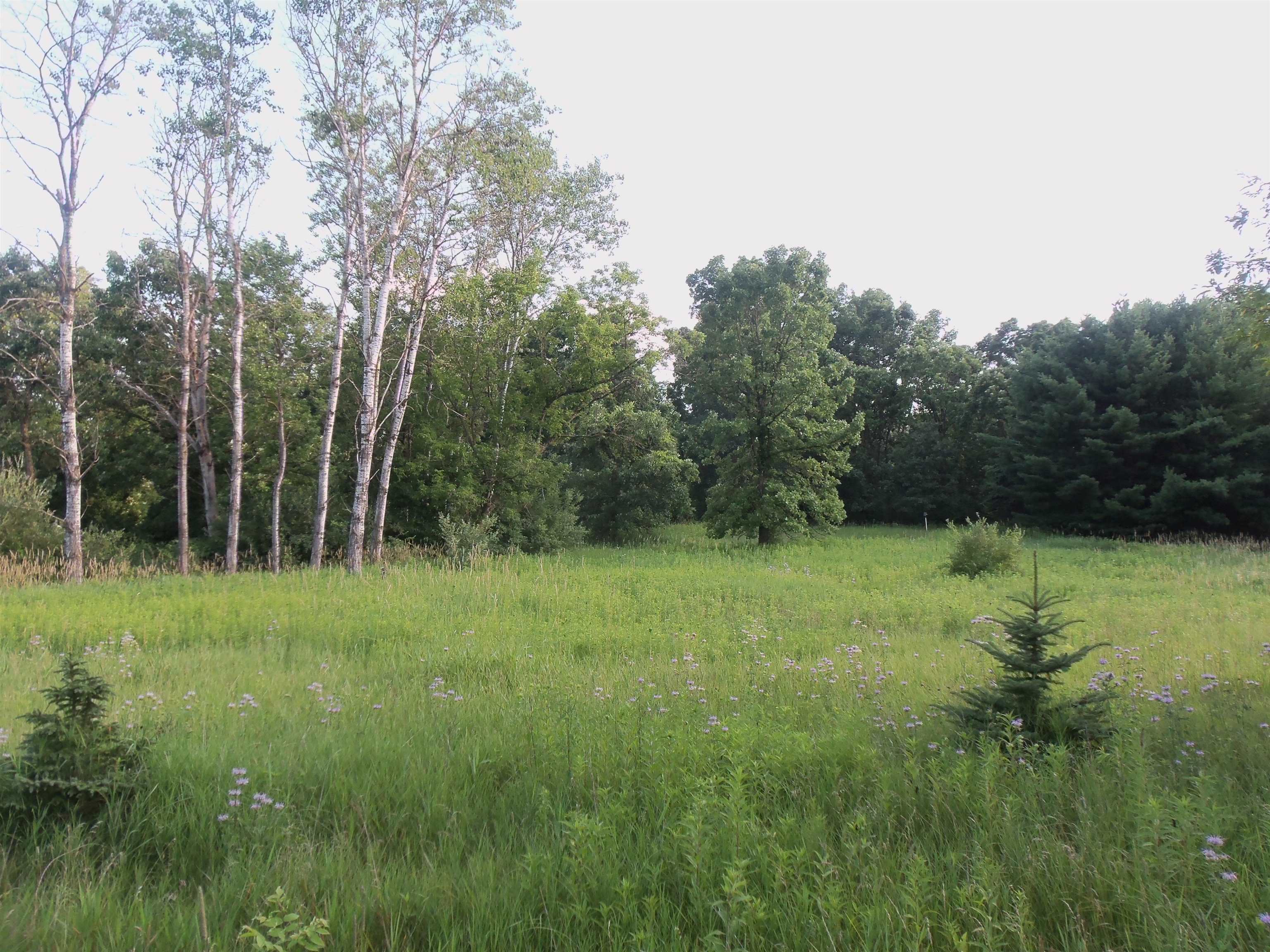 305 Fish Montello, WI 53949 - Photo 1 of 1 Gallery Image 1