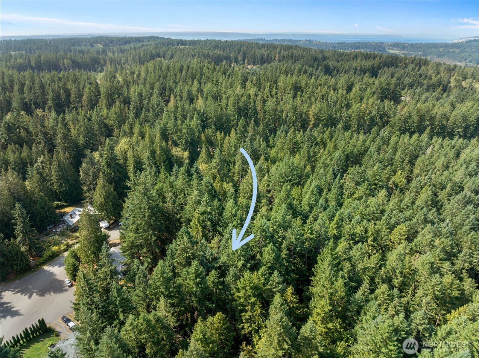 4105 Tartan Way Clinton, WA 98236 - Photo 18 of 18 a view of a lush green forest with sea