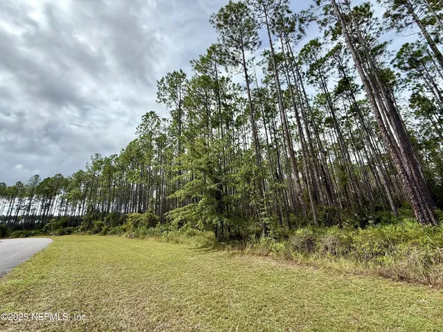 a view of swimming pool of water with green space