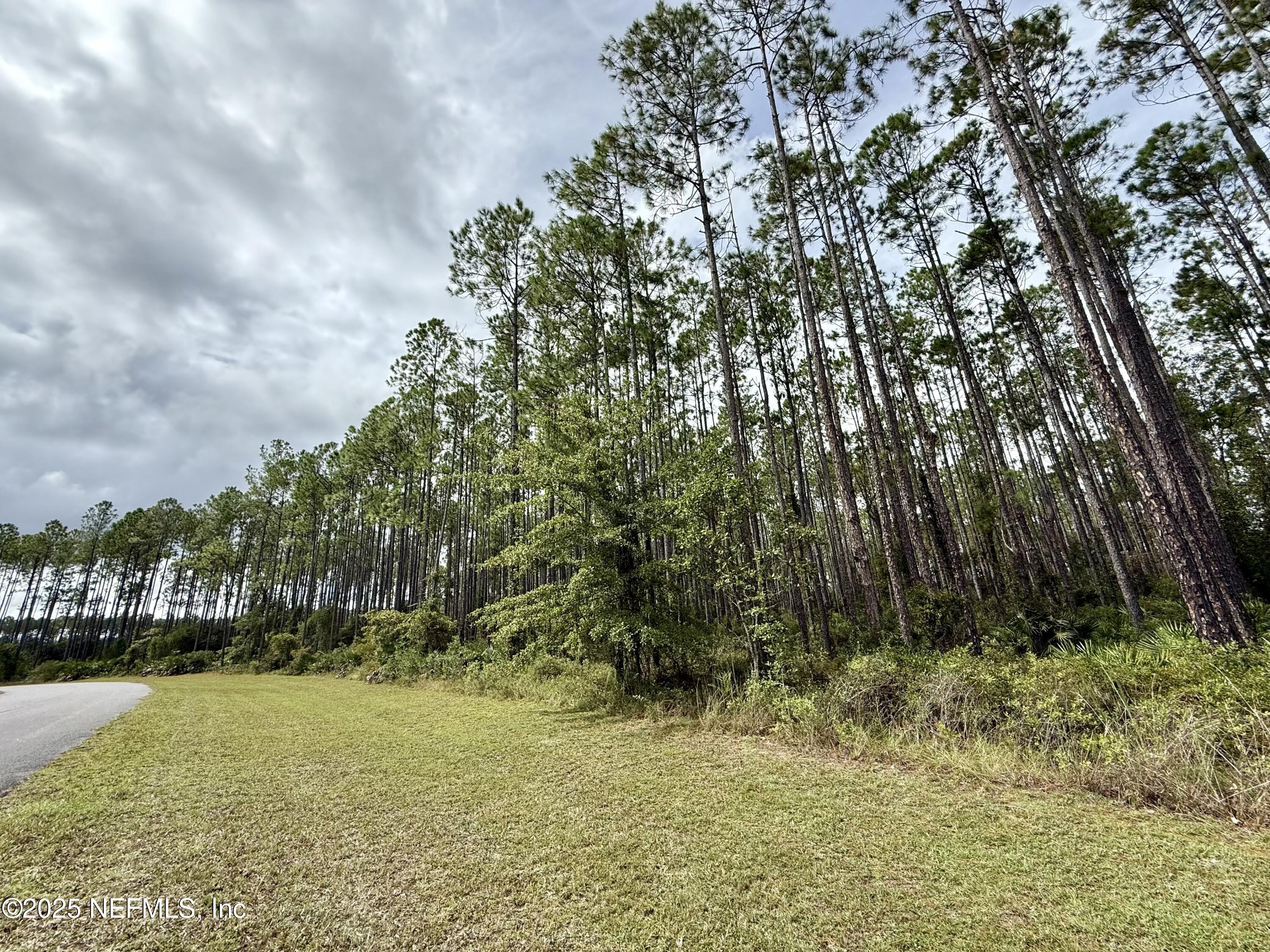 15125 Ingle Road Bryceville, FL 32009 - Photo 12 of 21 a view of swimming pool of water with green space