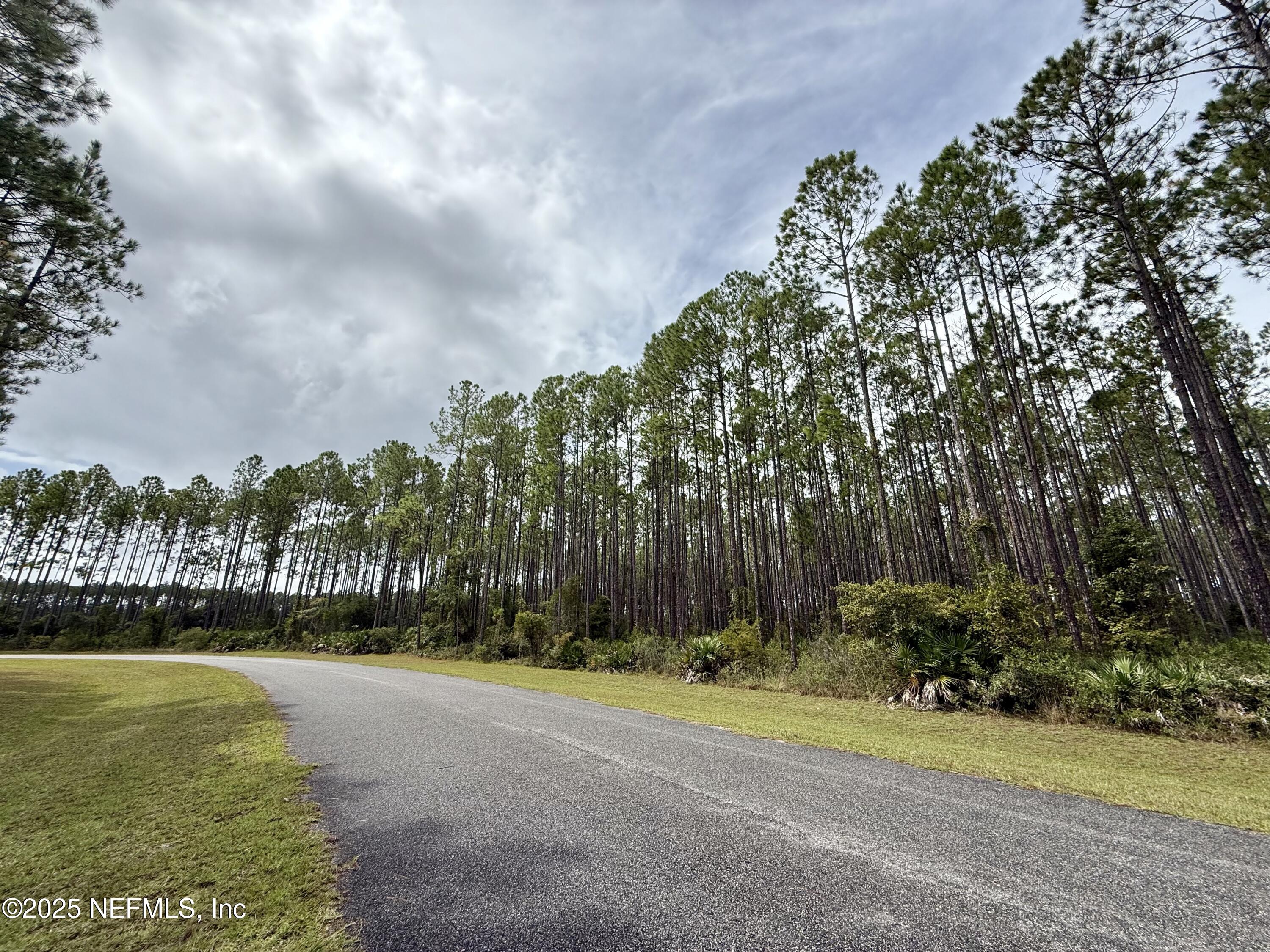 15125 Ingle Road Bryceville, FL 32009 - Photo 13 of 21 a view of a yard